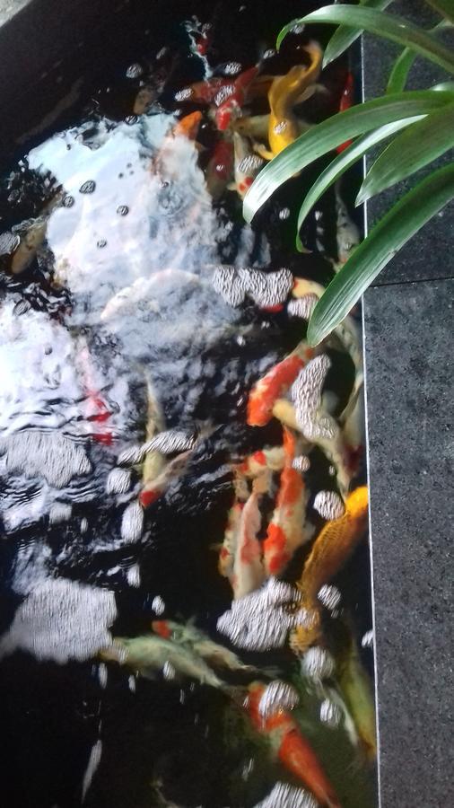 Khach San Hiep Yen Hotel Tuy Hoa Bagian luar foto
